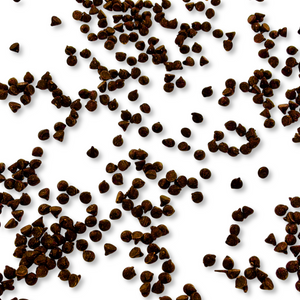 Hershey's Semi-Sweet Mini Baking Chips – 4,000 Pieces – Bulk Value Bag