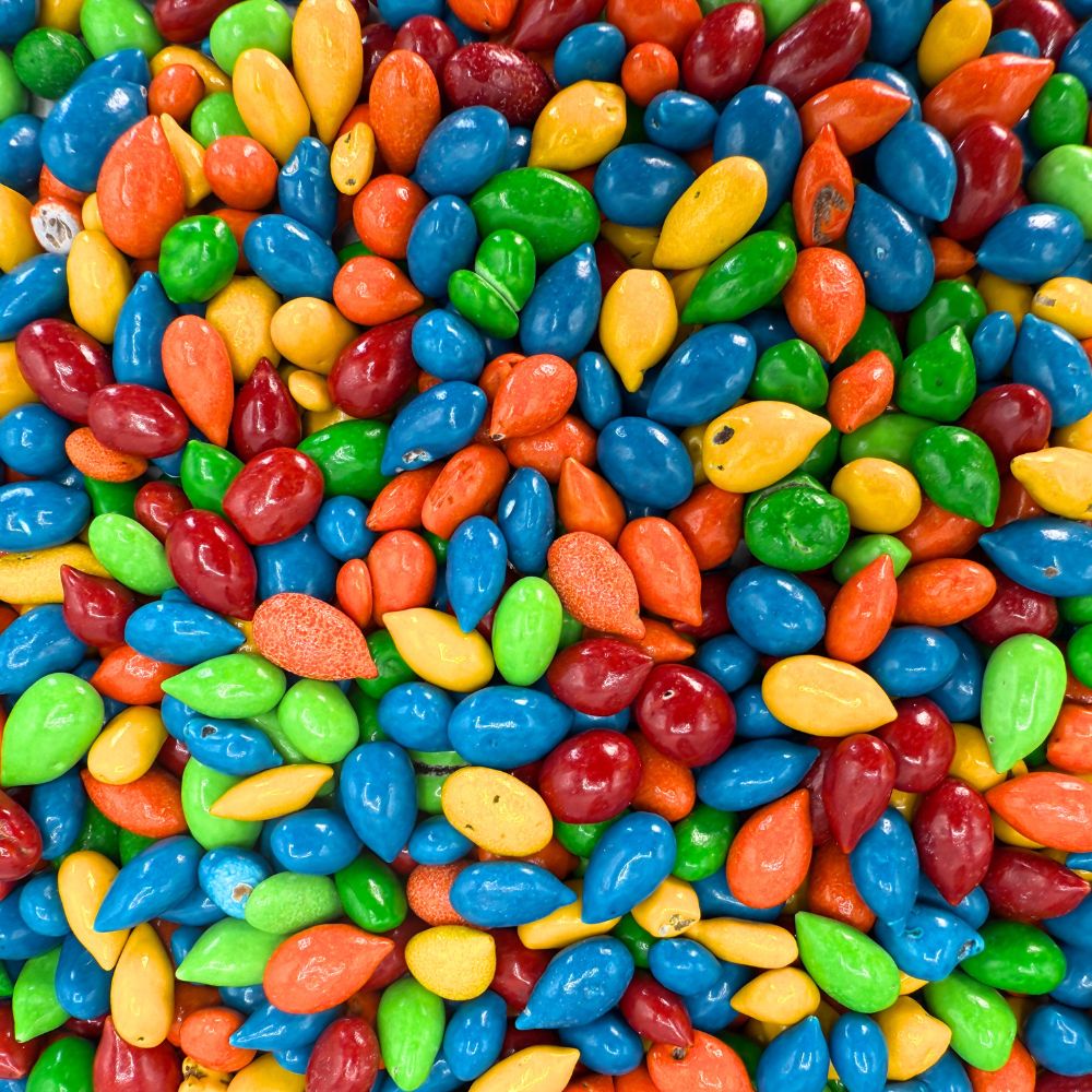 Kimmie Candy – Sunburst Candy-Coated Chocolate Sunflower Seeds – Bulk Value Bag